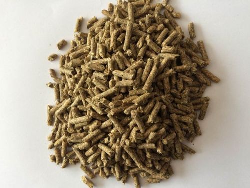 590兔用配合饲料(厂家,价格,配方,生产商,销售)-临沂市成长饲料有限